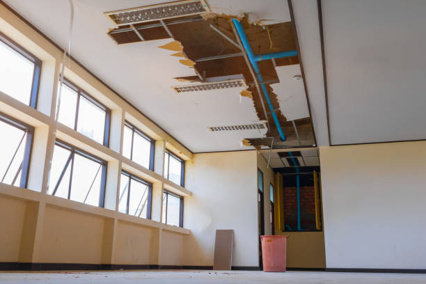 Best Water damage restoration near me  in Camden, AR