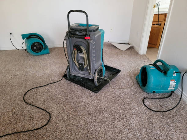 Best Water damage restoration insurance claims  in Camden, AR