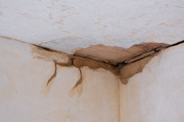 Best Water damage restoration near me  in Camden, AR