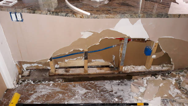 Best Flood restoration services  in Camden, AR