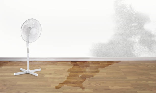 Best 24-hour water damage restoration  in Camden, AR