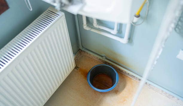 Best Professional water damage repair  in Camden, AR