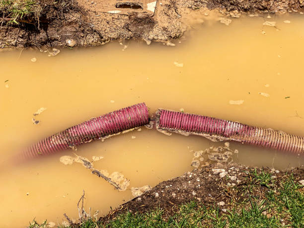 Best Water damage restoration cost  in Camden, AR