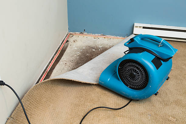 Best Commercial water damage restoration  in Camden, AR